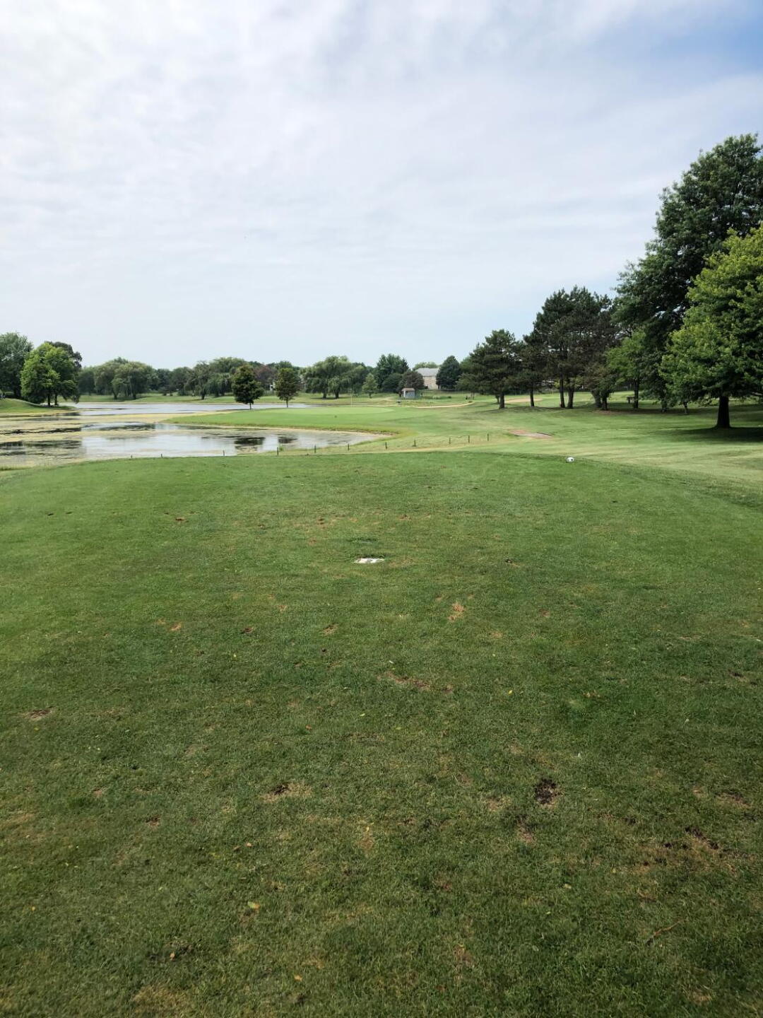 (Photo submitted by GolfDawg54 on 07/08/2019)