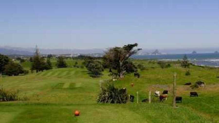 New Plymouth GC: #13
