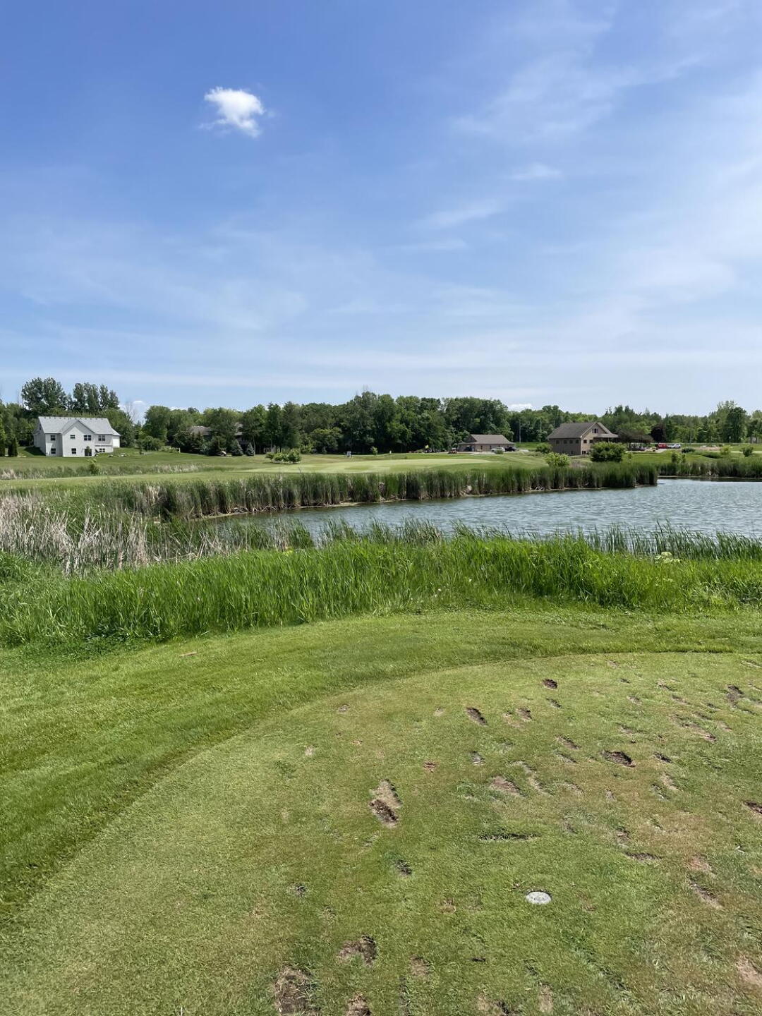 18th green at Vintage (Photo submitted by hDb1thI4s3Ec8lwNHB0m on 07/11/2023)