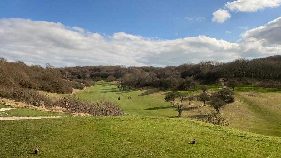 Pye Combe Golf Club - views