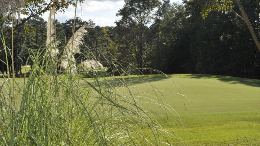 Legacy Pines GC: #17