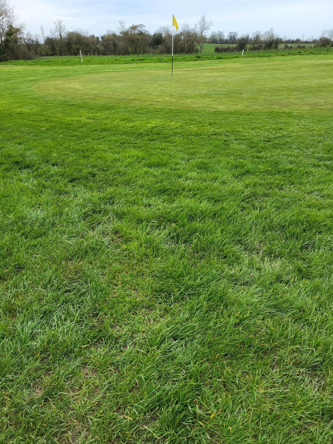 (Photo submitted by u314163820960 on 04/10/2023)