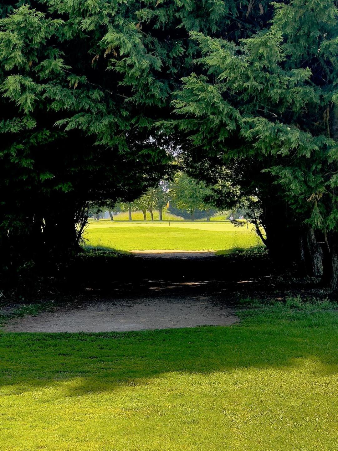 (Photo submitted by Sylv90 on 06/03/2024)