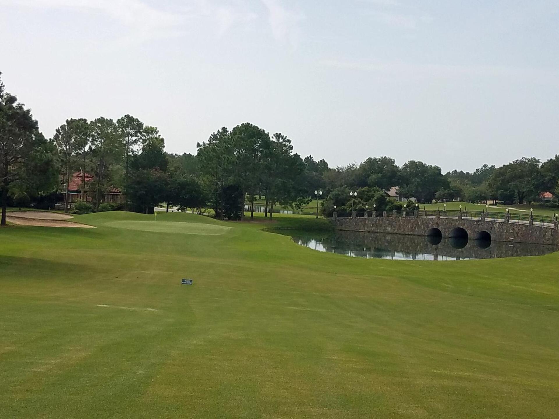 Does not get better than this (Photo submitted by jfiore on 08/06/2017)