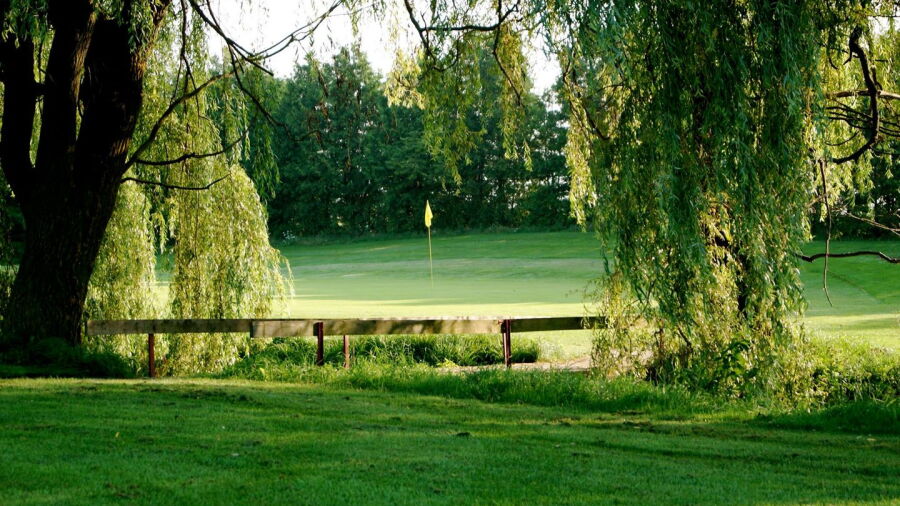 Tavistock GC