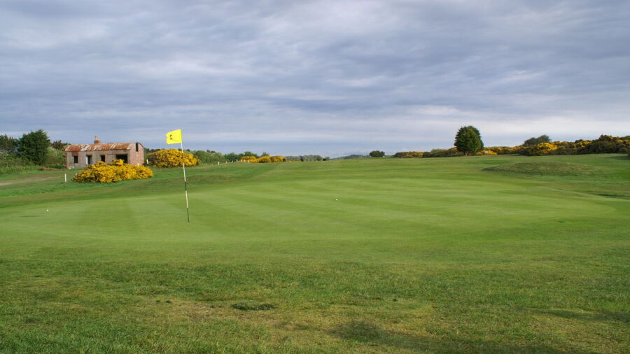 Powfoot GC: #2
