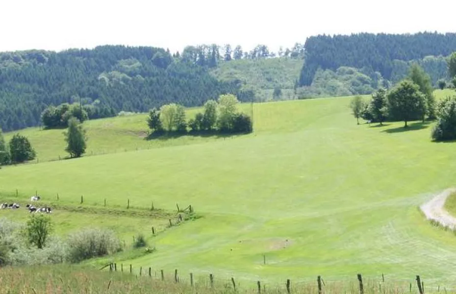 Kuerten Bergerhoehe GC