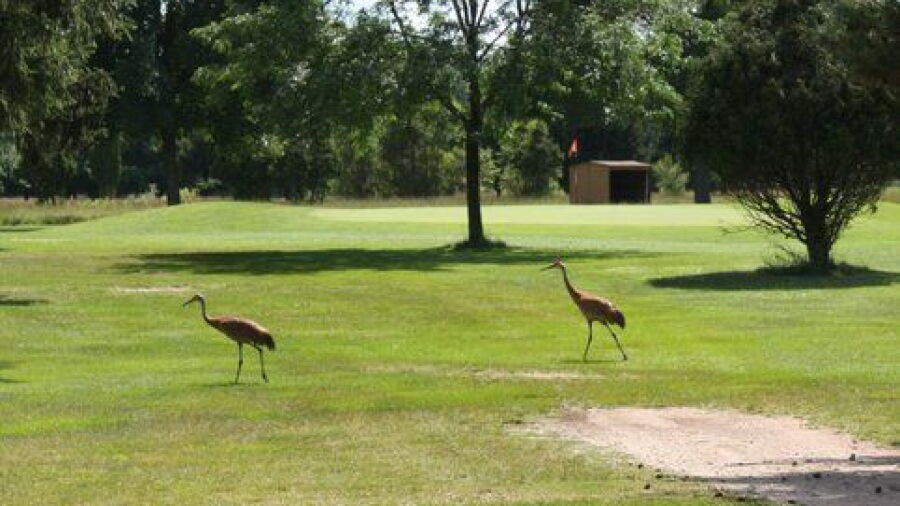 St. Joe Valley GC