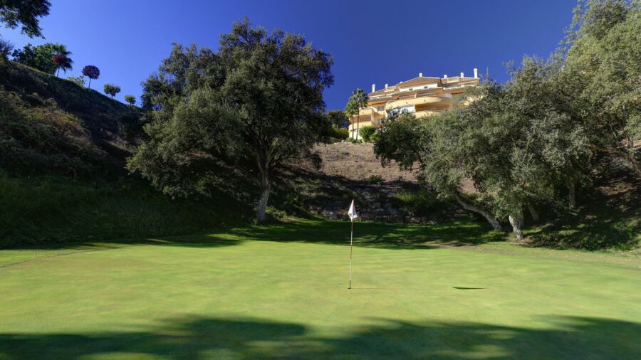 Greenlife GC