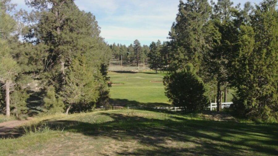 Pine Meadow CC: #4
