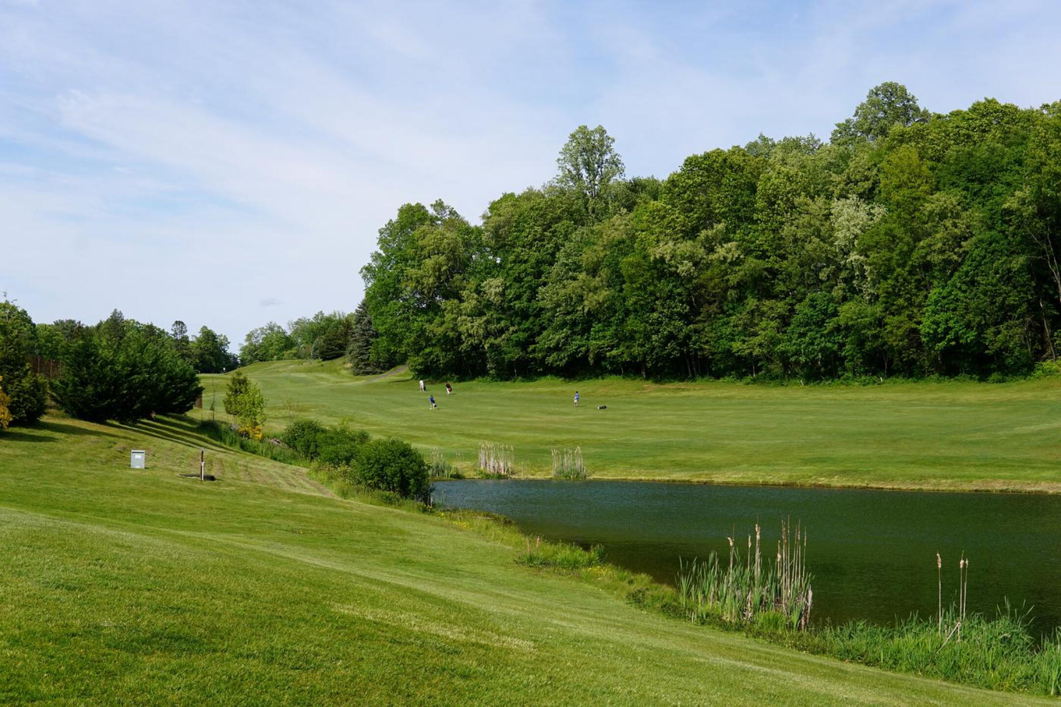 This foursome is competing in a high school golf match, walking here up fairway eight. (Photo submitted by AptlyLinked on 05/20/2023)