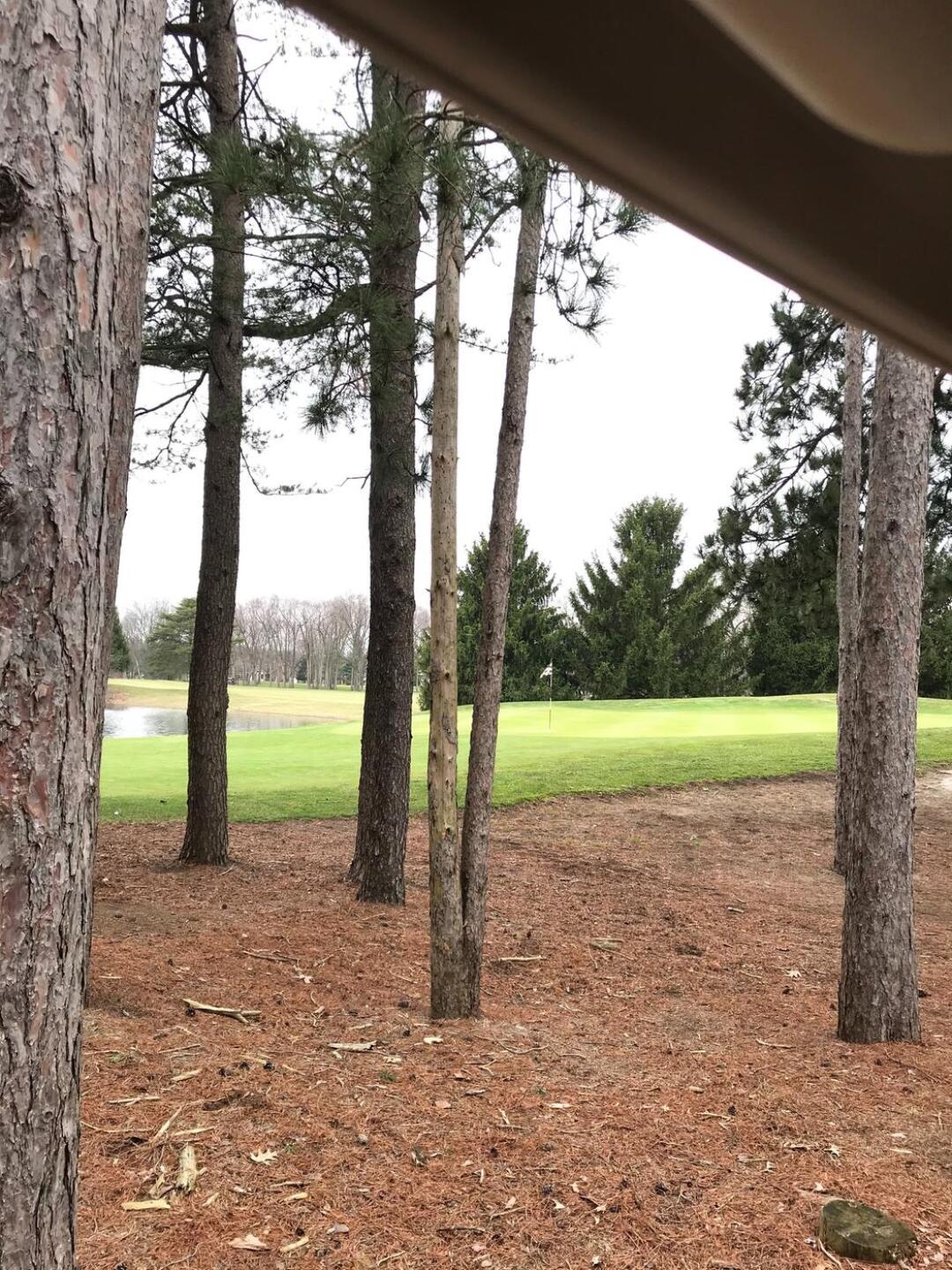 (Photo submitted by ChicagoGolf3493 on 04/05/2020)