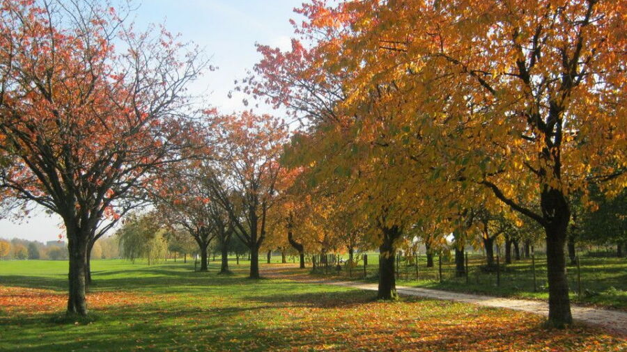 Welderen GC