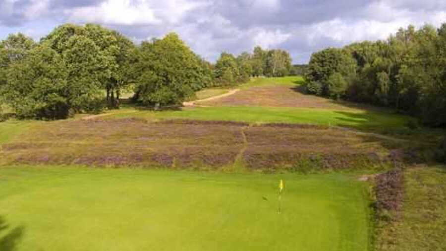 4th at Piltdown