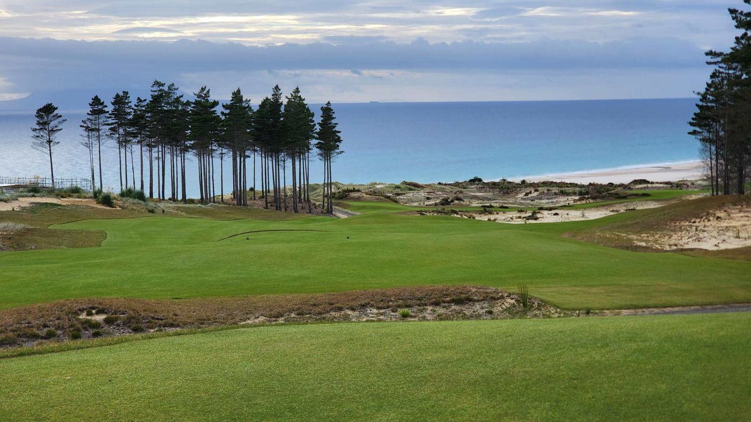 (Photo submitted by nickng316 on 03/18/2024)