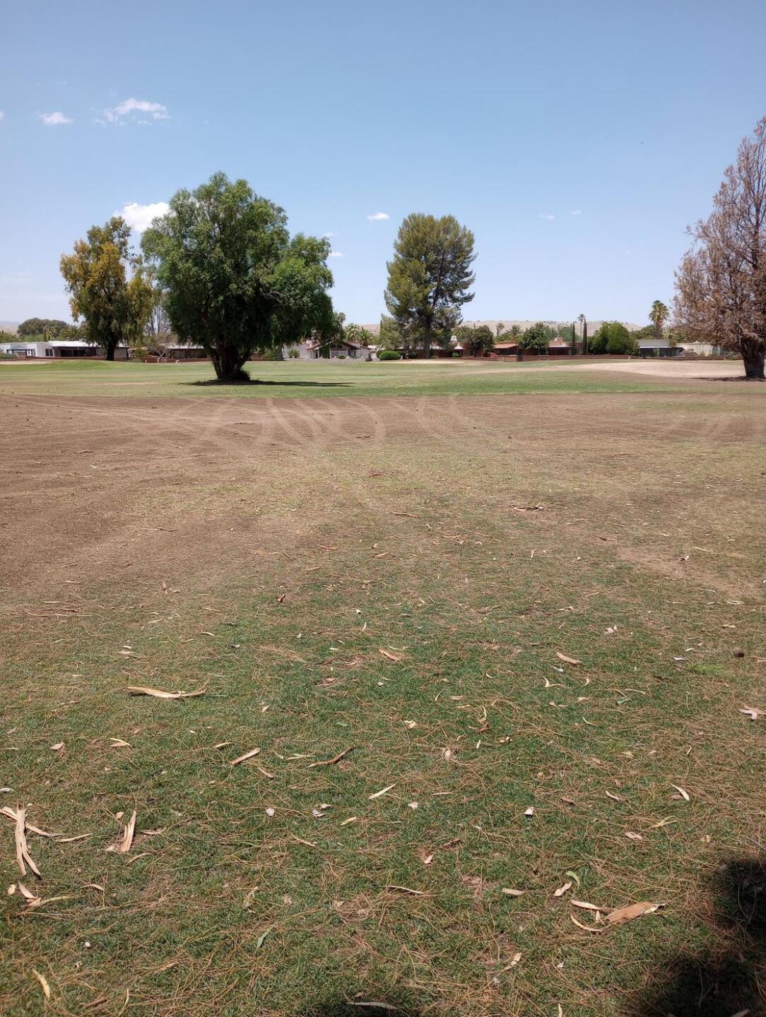 Another fairway. (Photo submitted by mrjimmy on 07/17/2022)