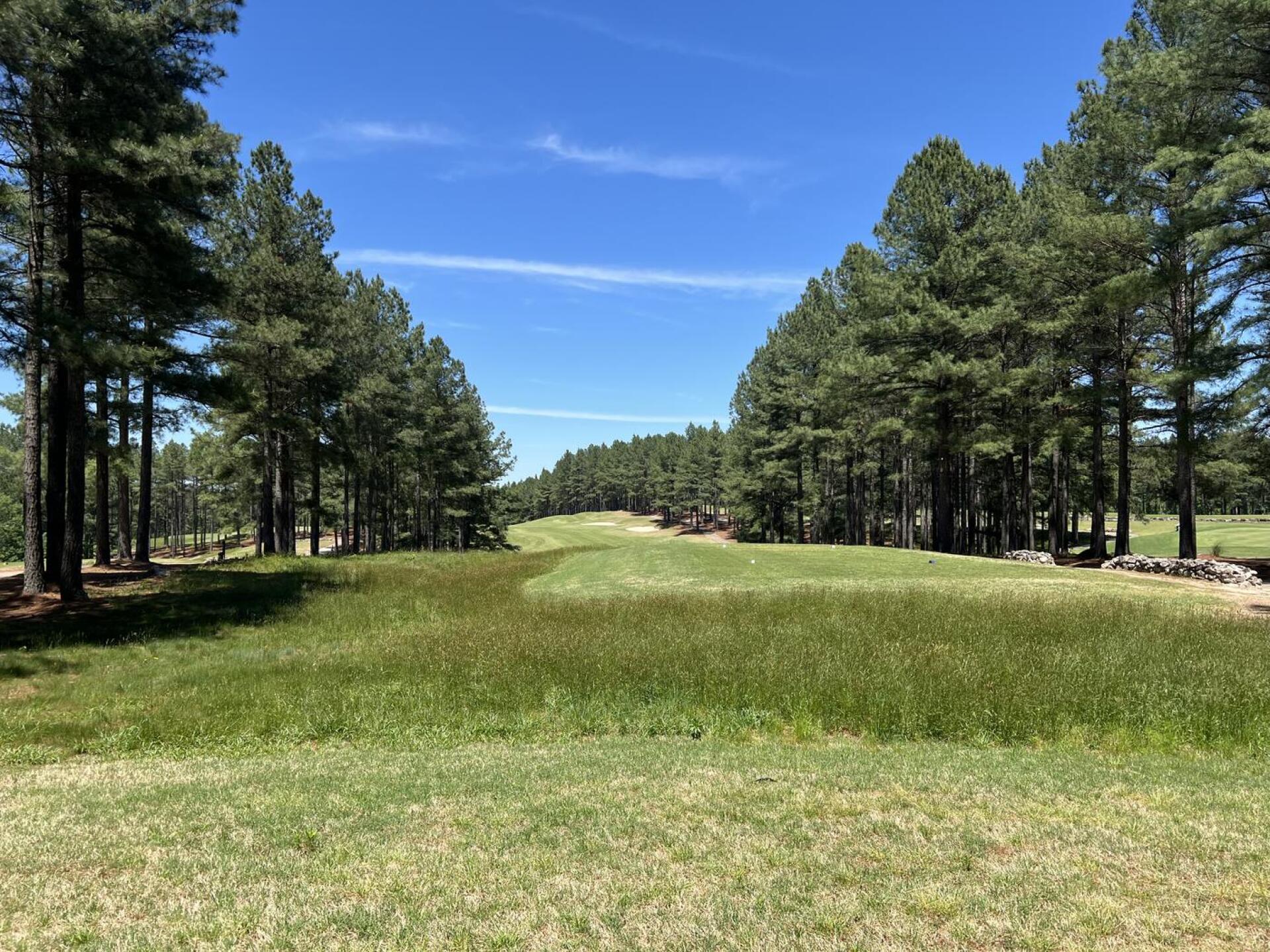 Glorious par 5 6th (Photo submitted by JustaGOONER on 05/11/2025)