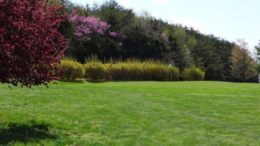 Cedar Rapids CC