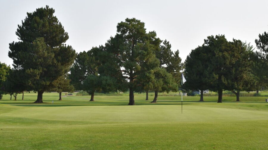 Purple Sage GC