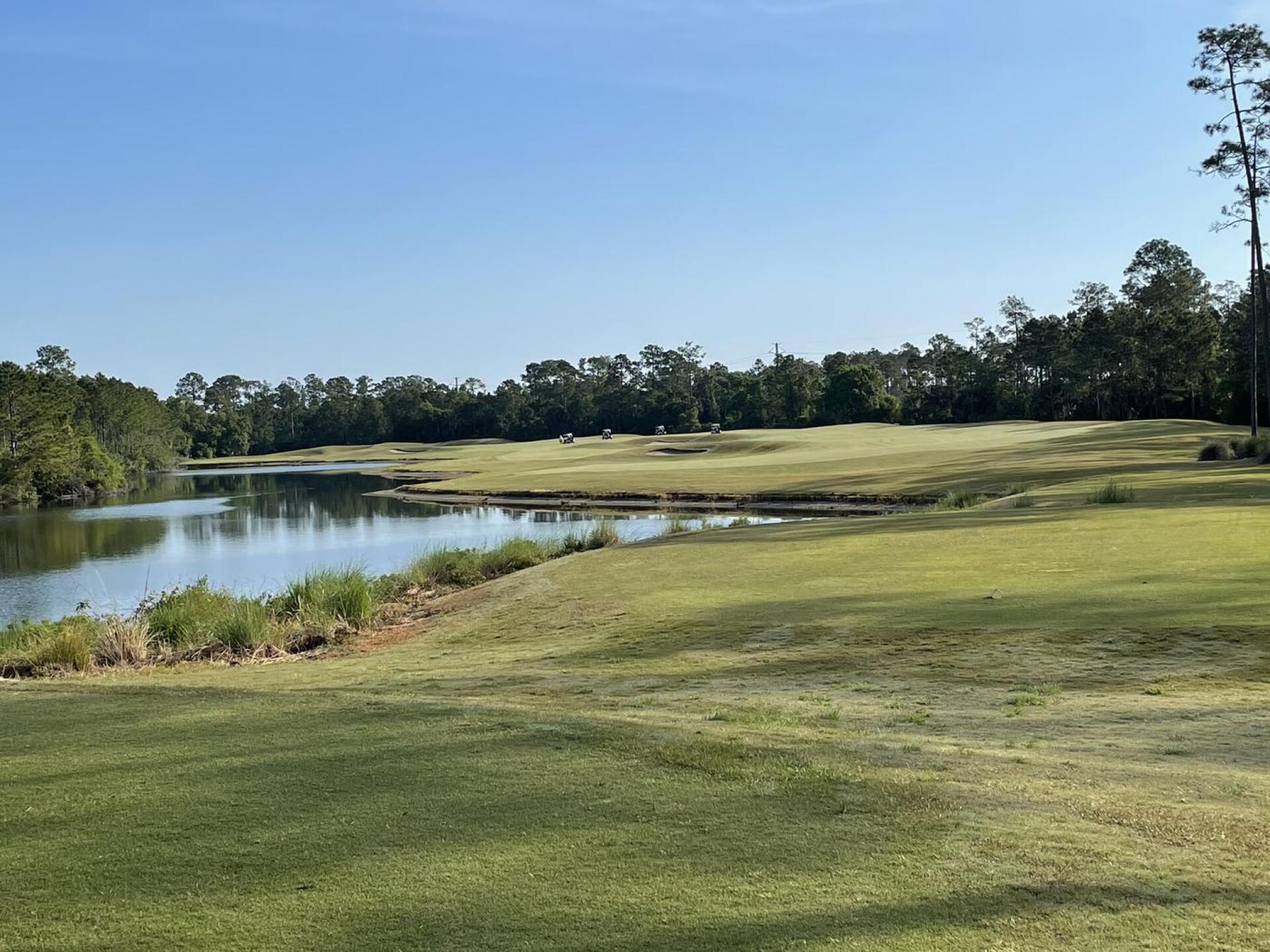 (Photo submitted by Dylan8339450 on 04/07/2021)