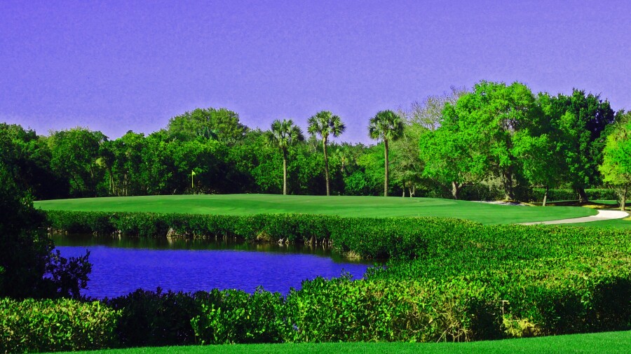Renaissance Vinoy Golf Club - hole 13