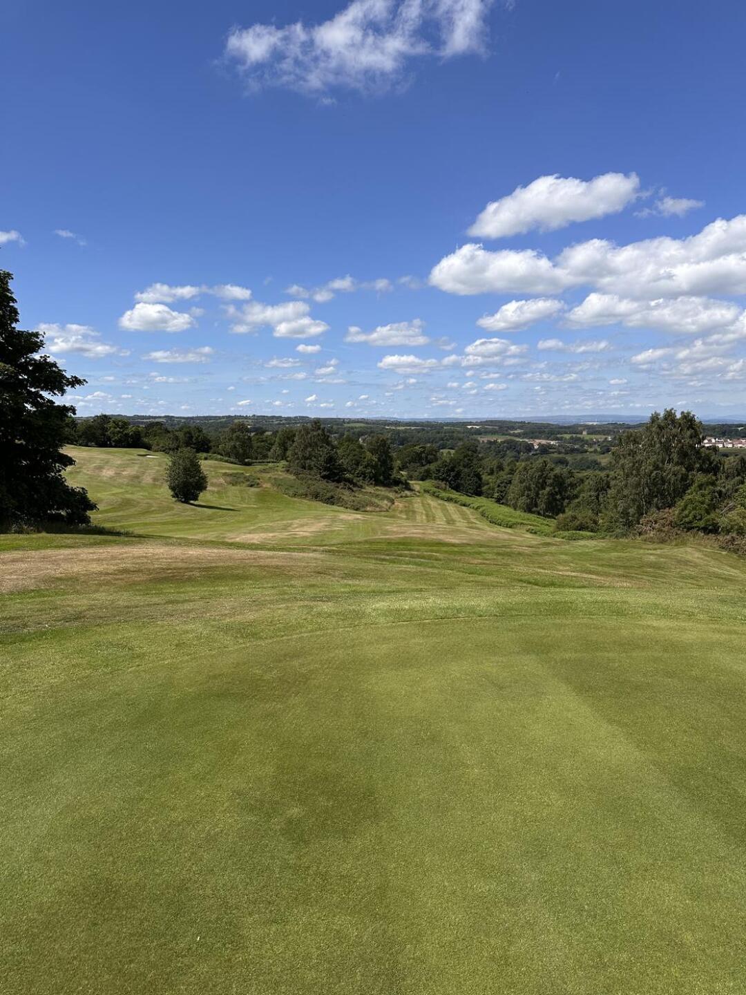 (Photo submitted by u314162986105 on 07/14/2025)