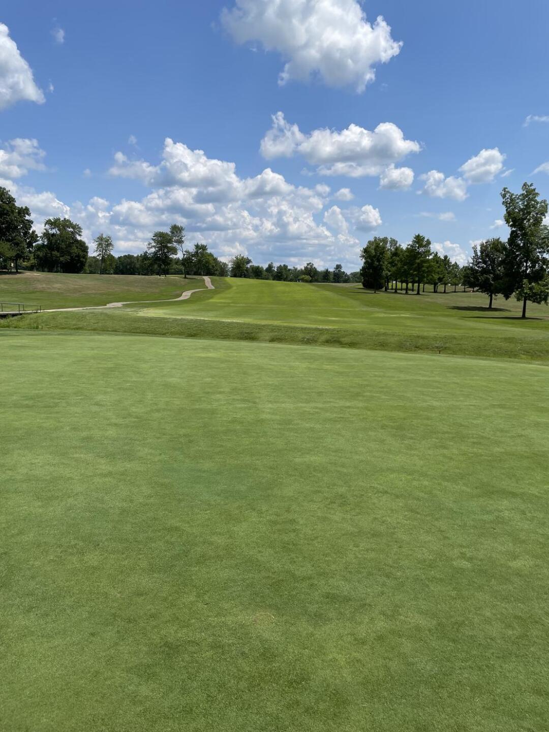 (Photo submitted by Perry79 on 07/25/2023)