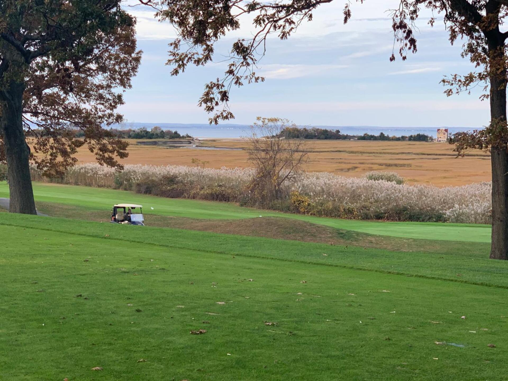 (Photo submitted by Juniorshu on 10/27/2019)