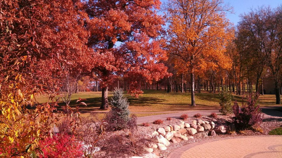 Beaver Hills CC