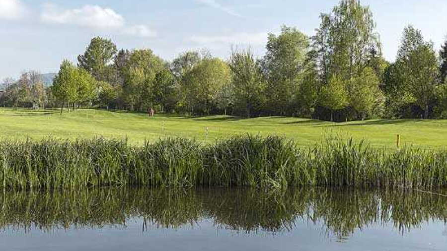 Entfelden GC: #3