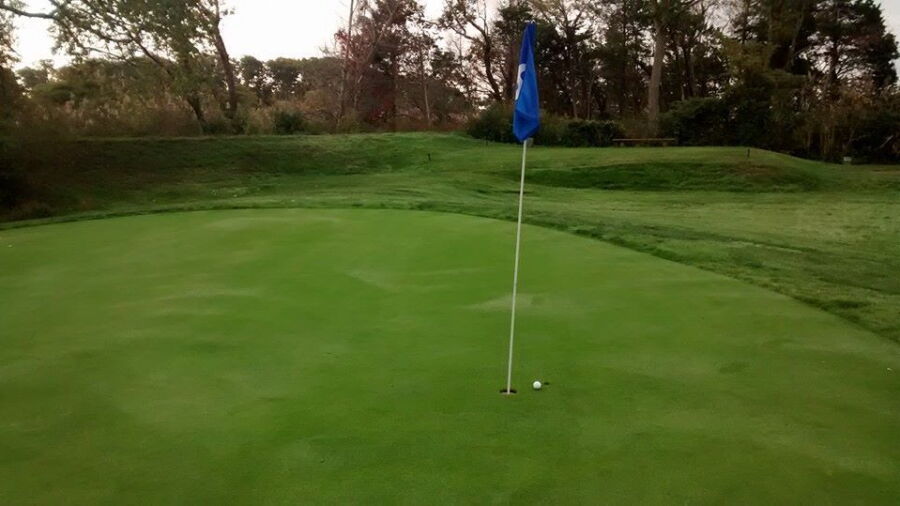 Cedars GC: #8