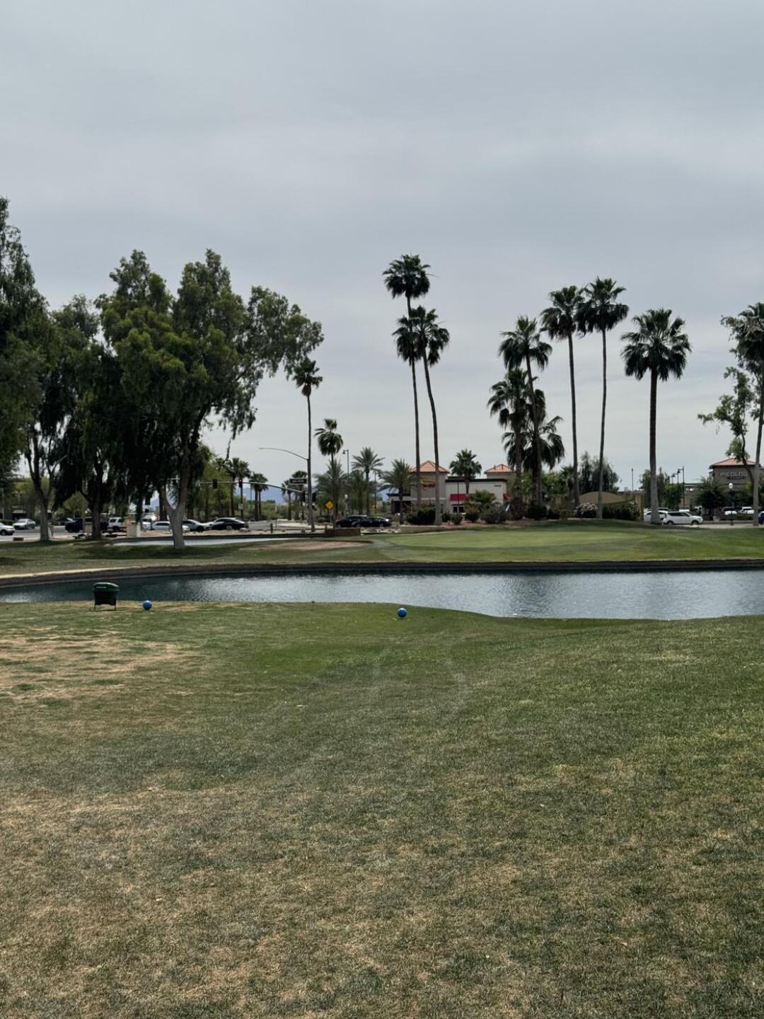 (Photo submitted by Smthng4nthng on 04/13/2026)