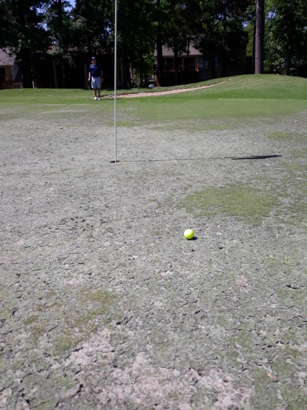 (Photo submitted by u155490176 on 04/11/2021)