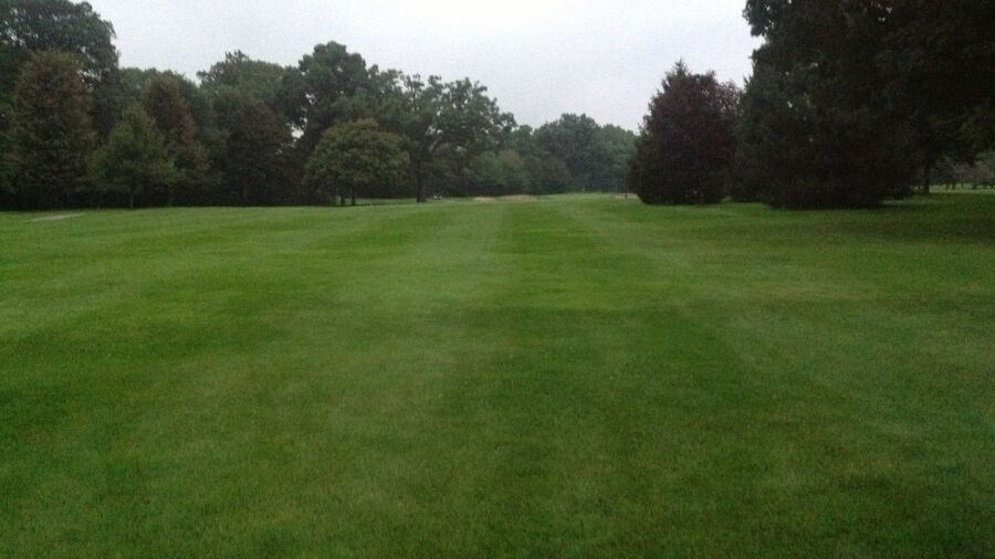 Kingsville GCC - White: #1