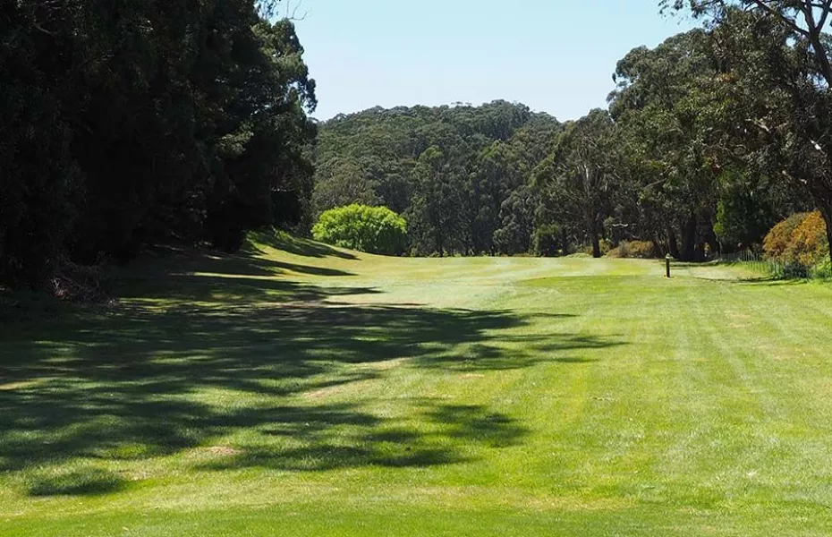 Trentham GC: #16