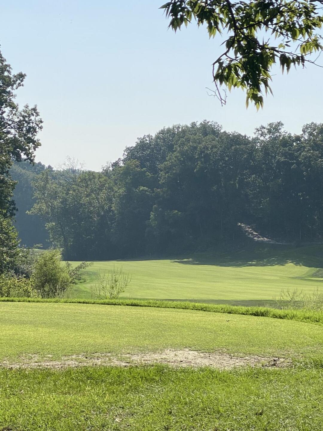 (Photo submitted by mooaemusick on 09/07/2023)