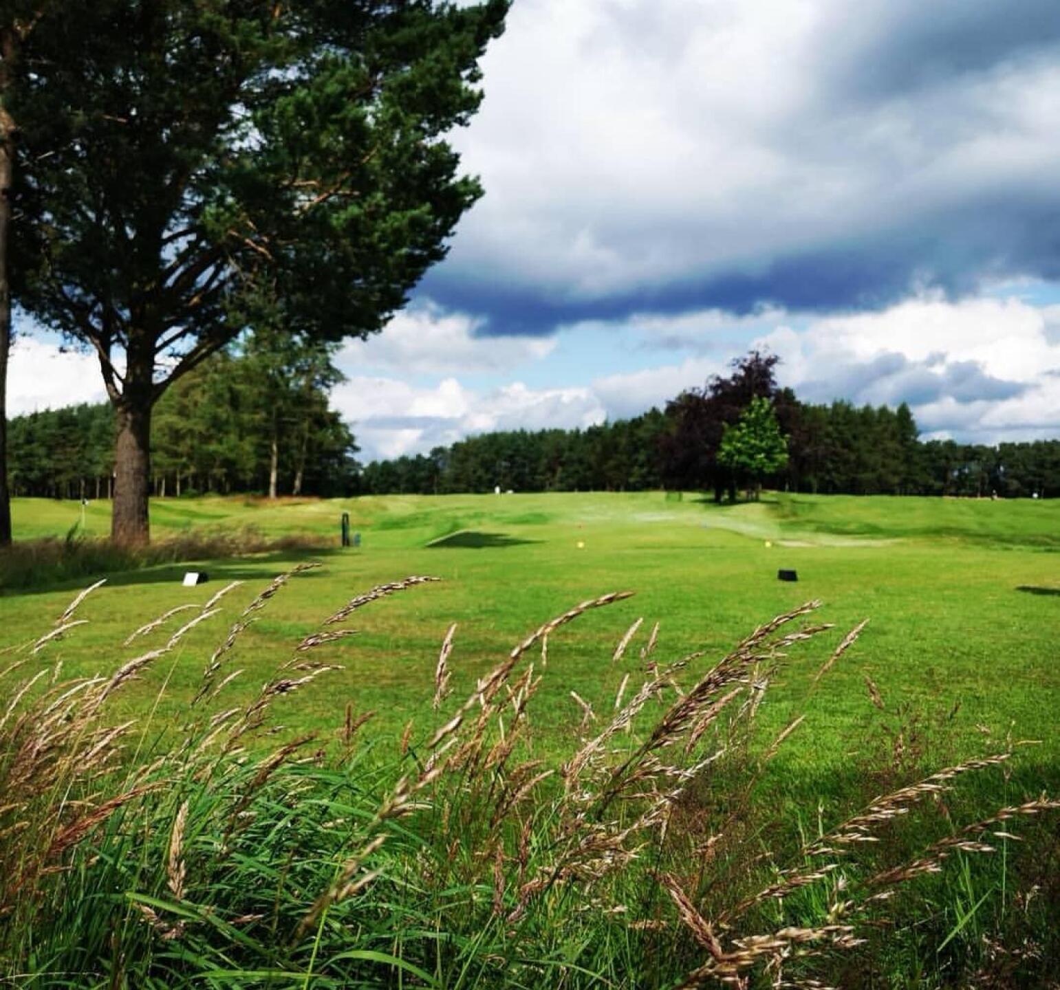 (Photo submitted by 2ez0qMeG1we34wID8mZR on 12/10/2019)