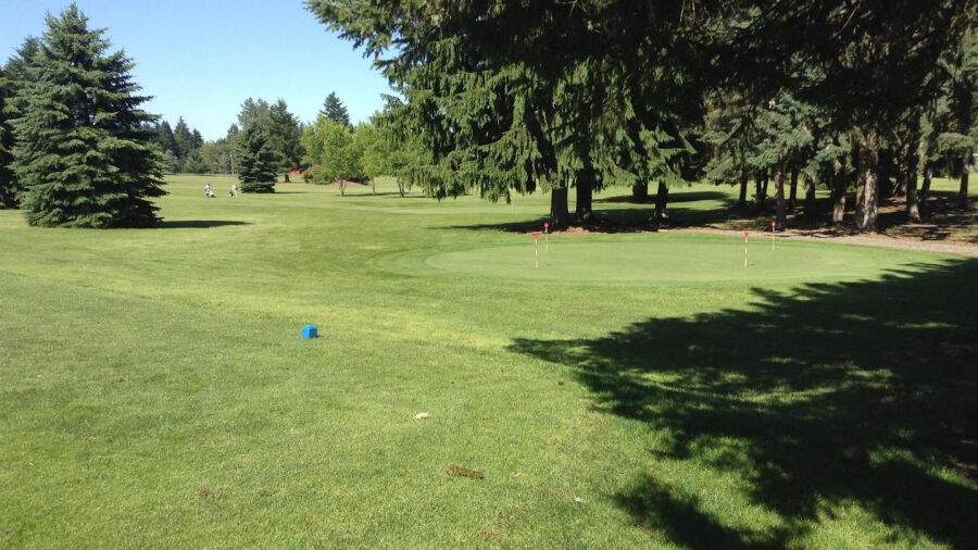 Greenlea GC: #2