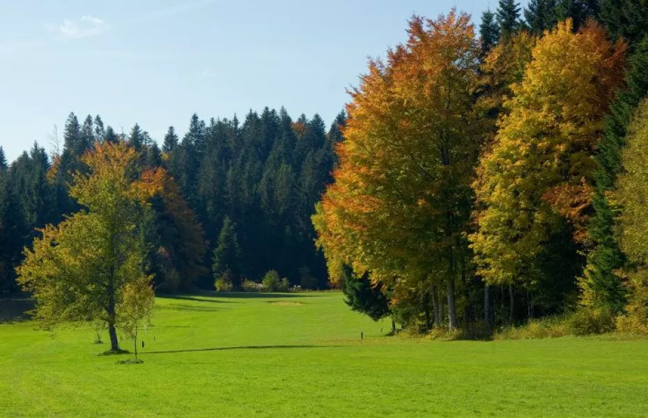 Pontarlier les Etraches GC