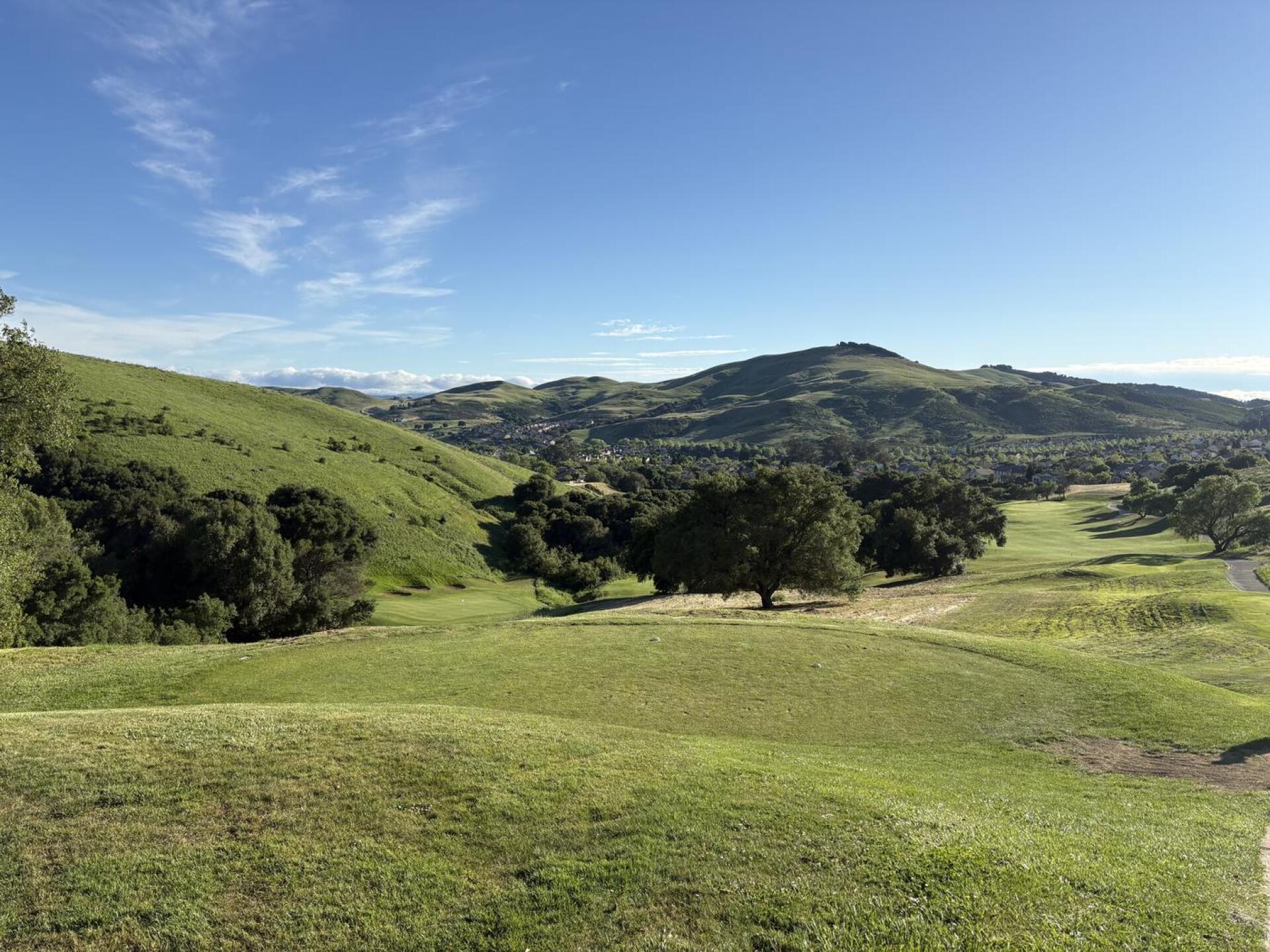 (Photo submitted by u362699357 on 04/13/2026)