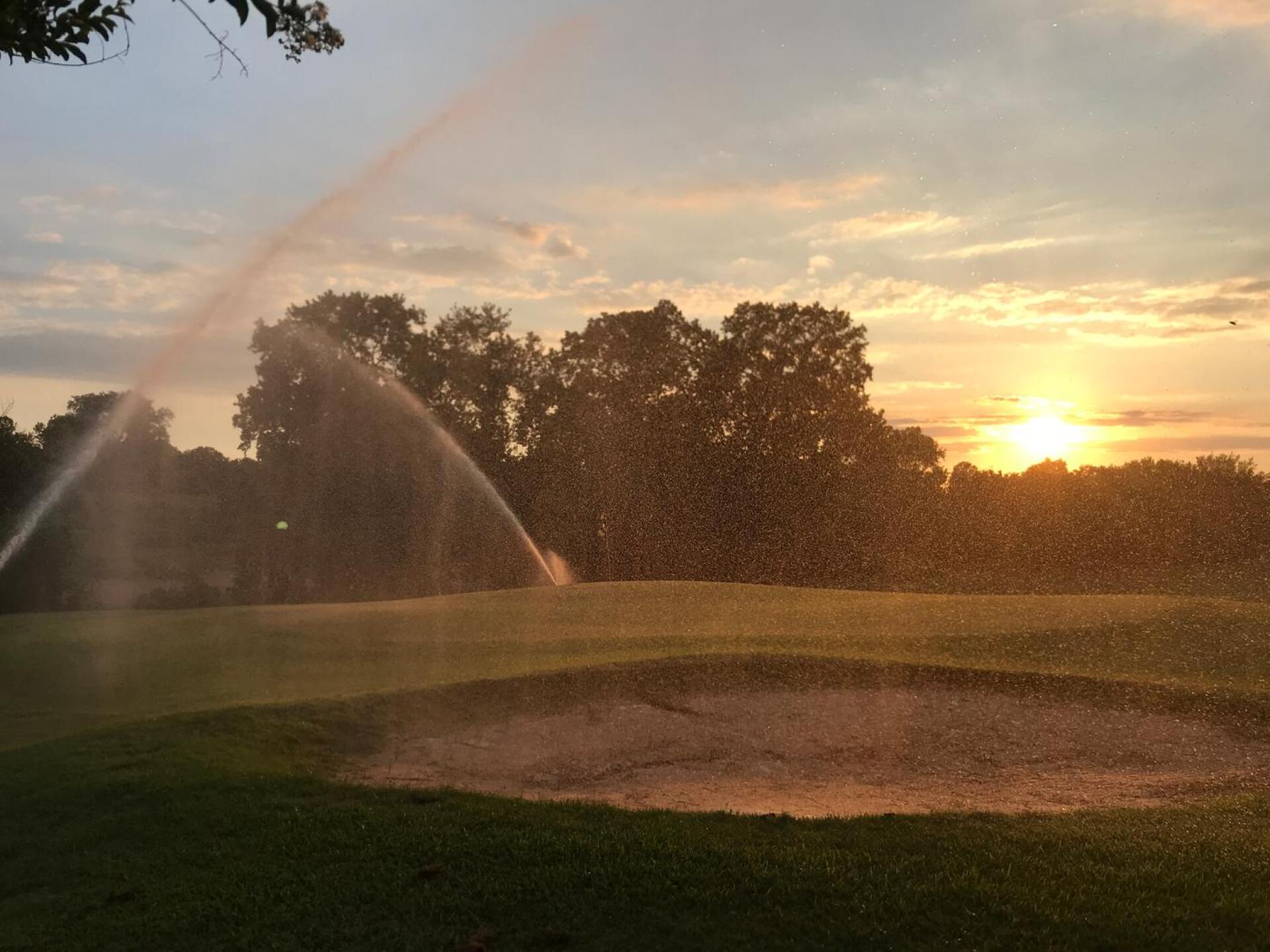 (Photo submitted by BrandonTuckerGA on 06/20/2020)