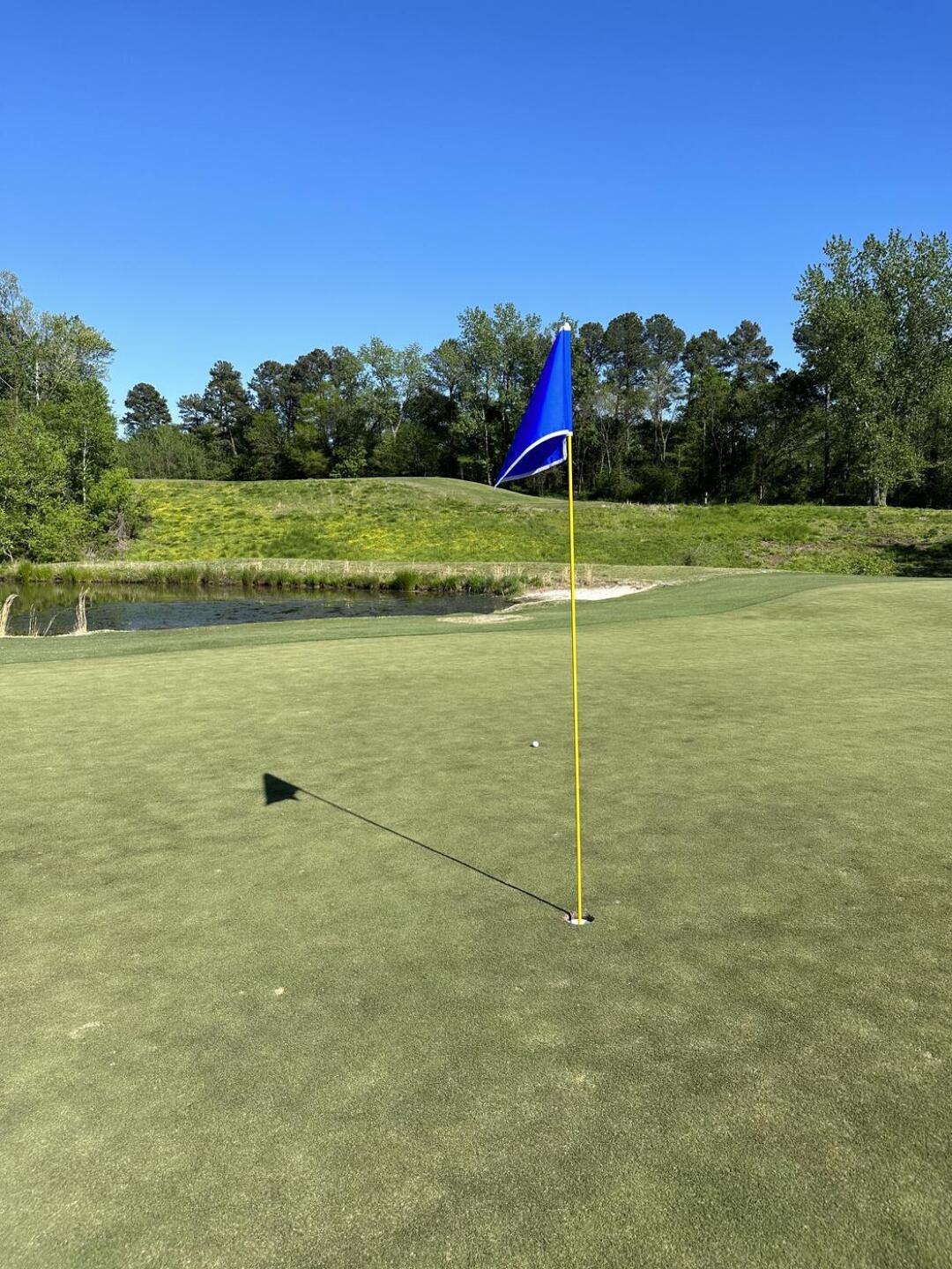 (Photo submitted by rich4par on 06/07/2023)