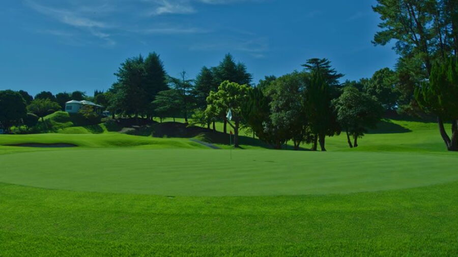 Seikyu CC - East: #4