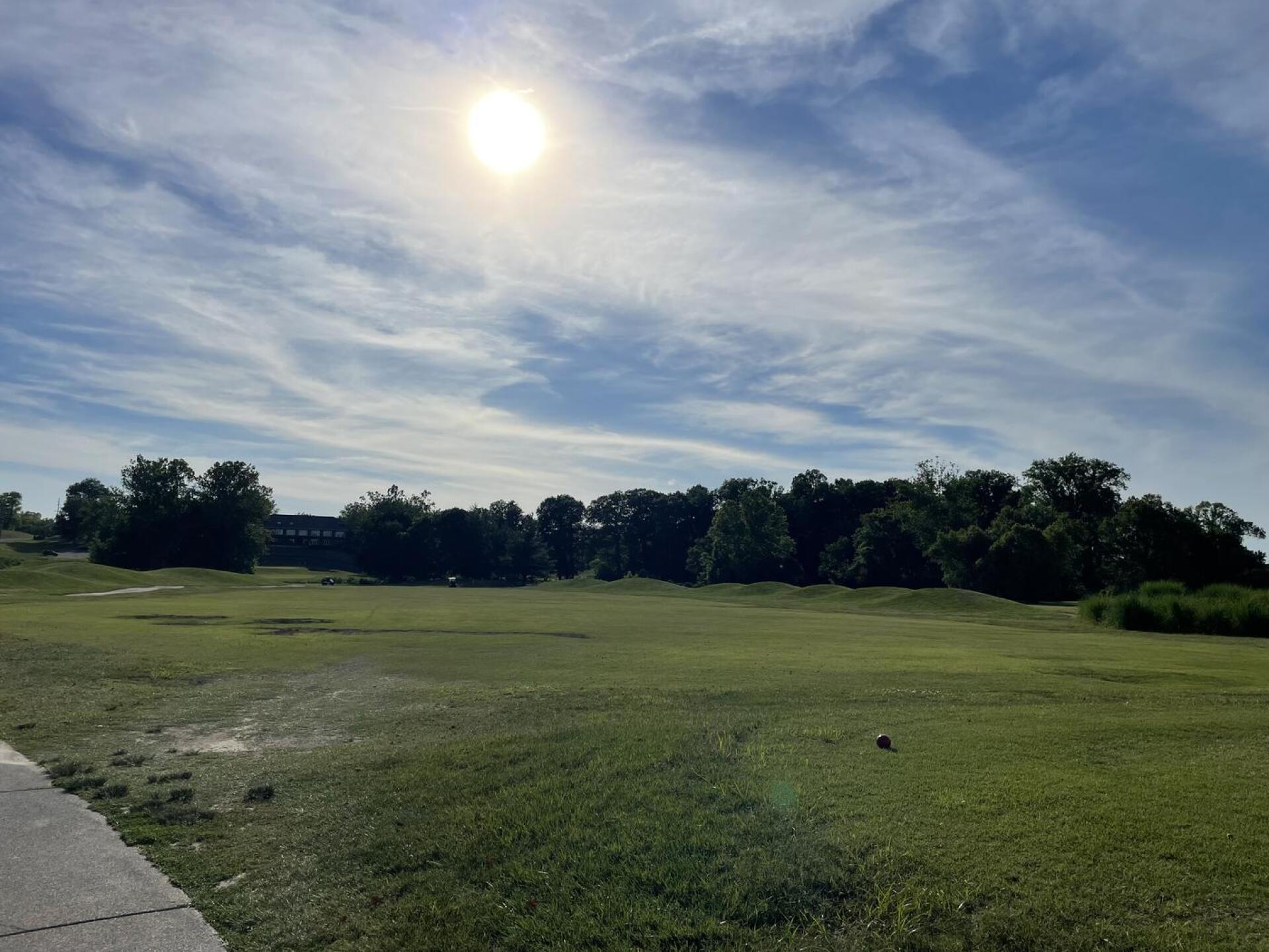 (Photo submitted by Mystical on 06/16/2024)