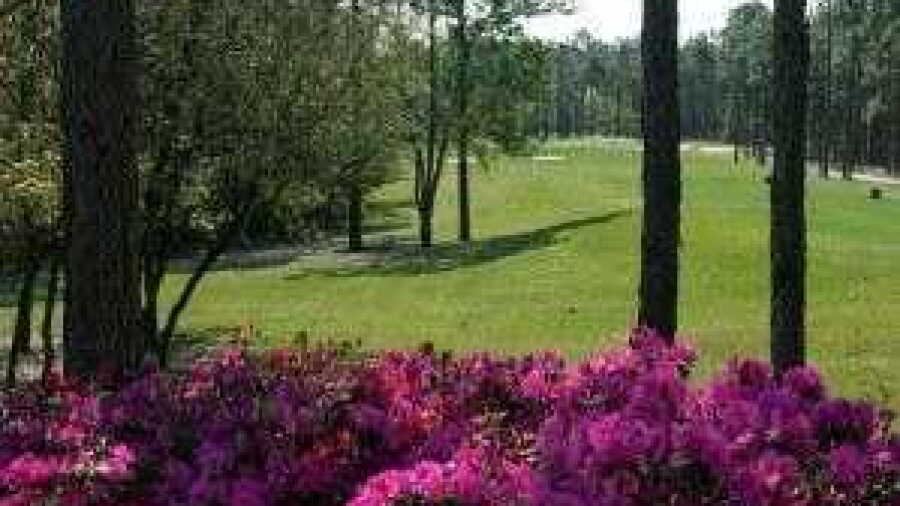 Members Club at St. James Plantation