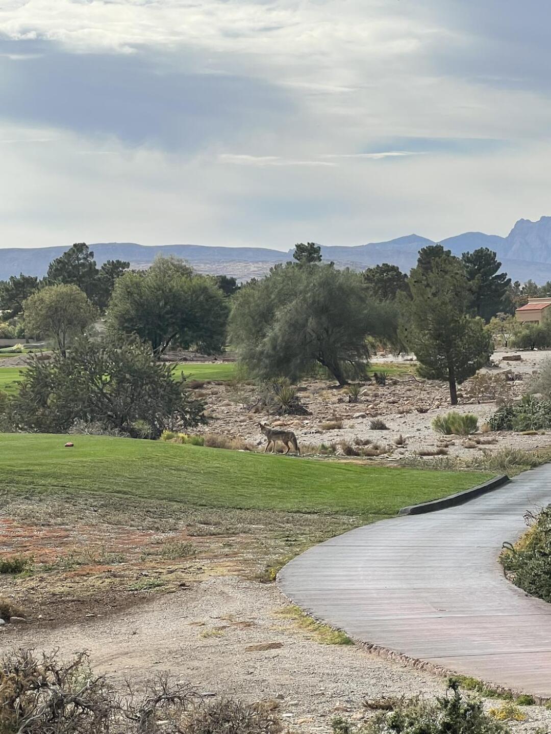 (Photo submitted by DjifSWKe91RYmwhkwjkP on 11/16/2025)