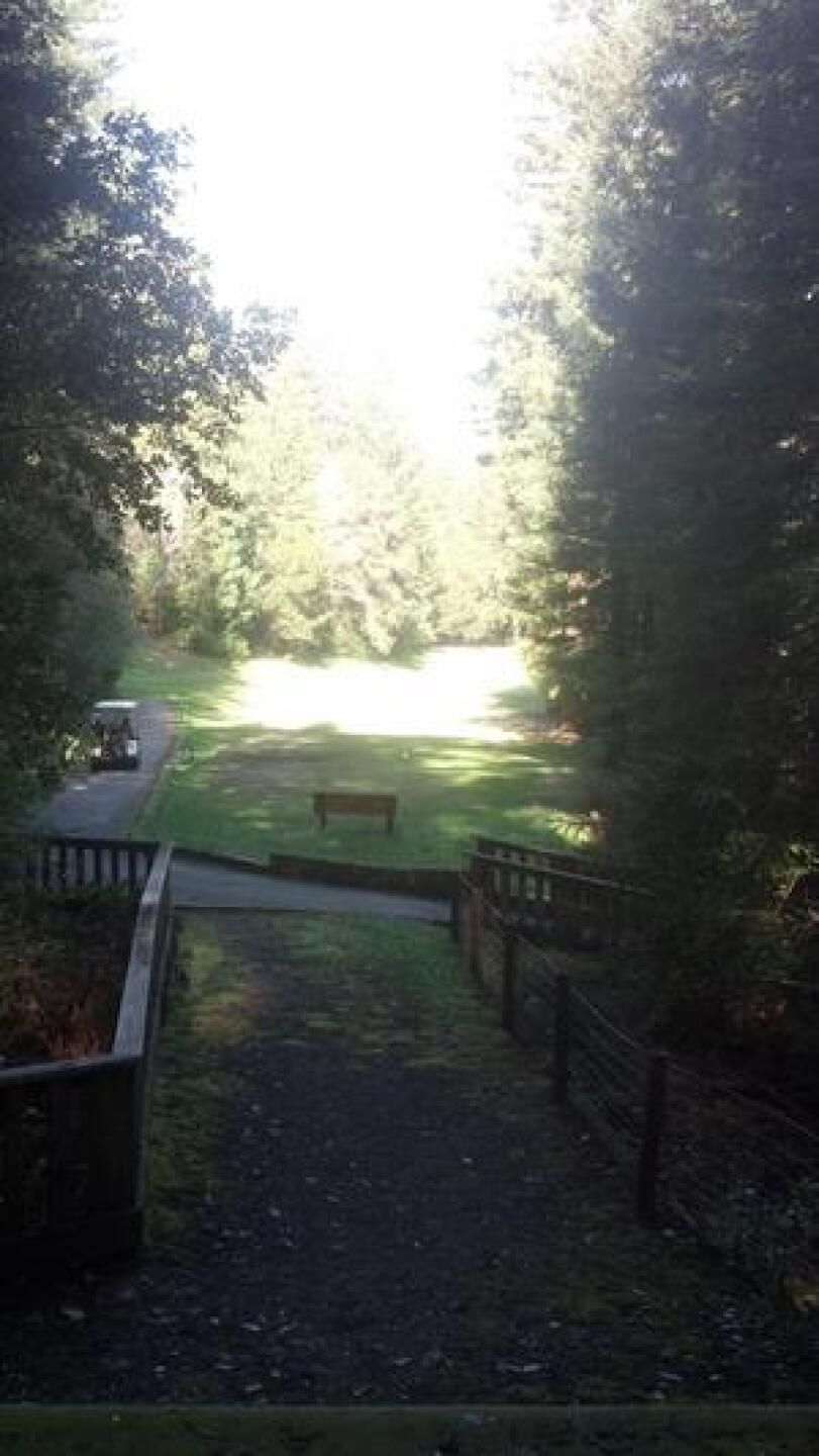 17th hole par 5 (Photo submitted by glovesb on 03/09/2015)