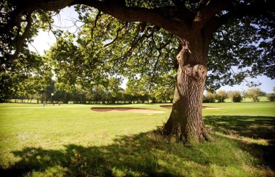 Chestfield GC: 7th green