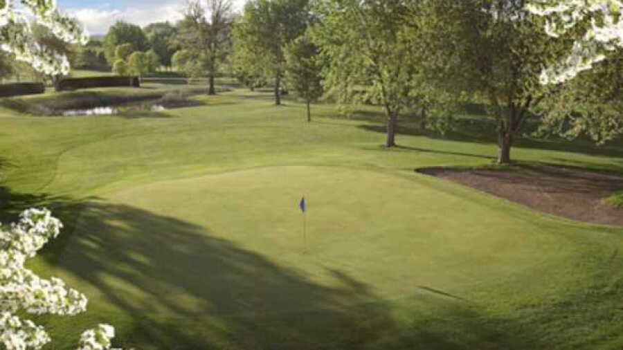 Albany GC: #15