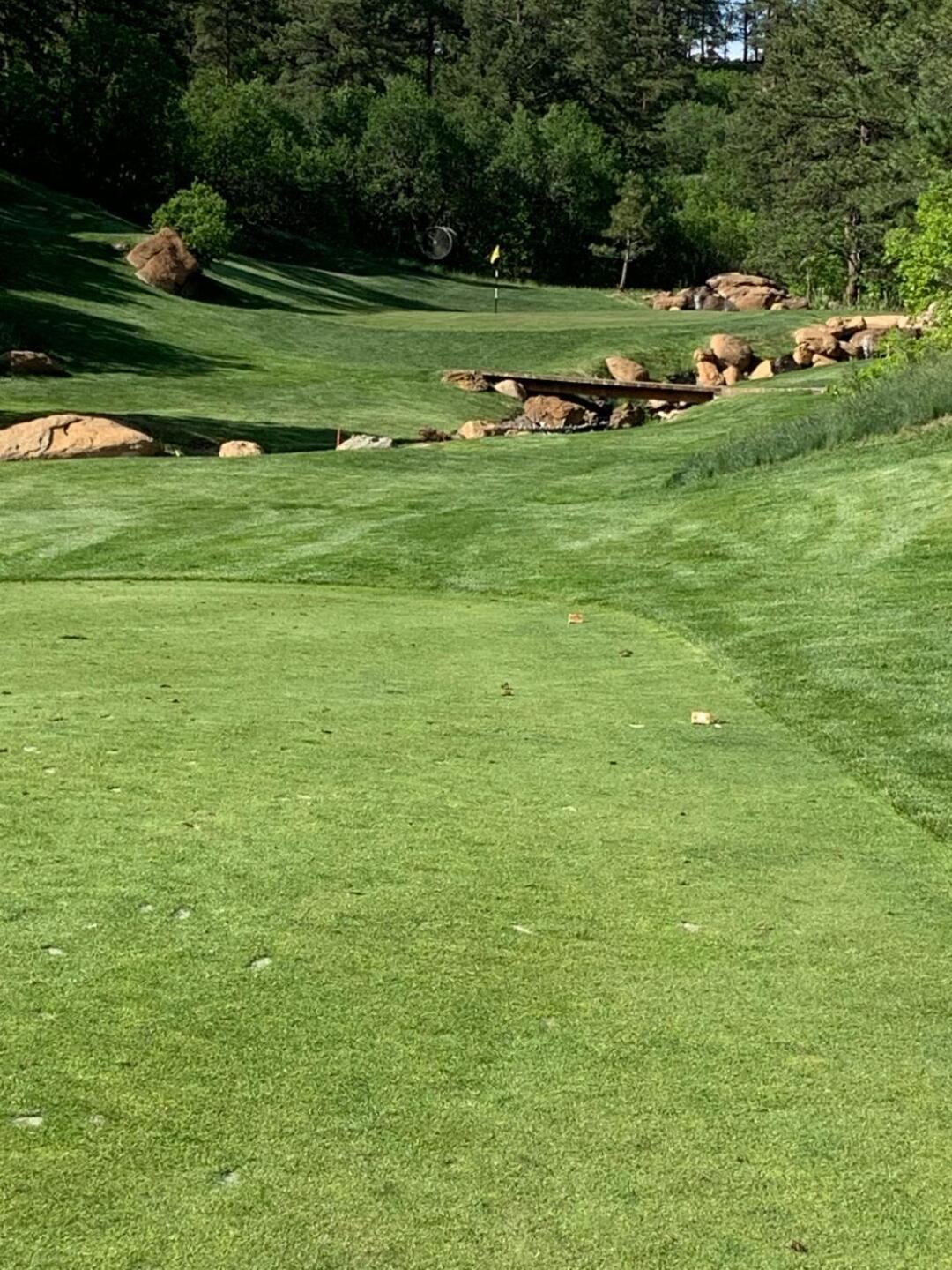 (Photo submitted by u340515415 on 06/14/2019)